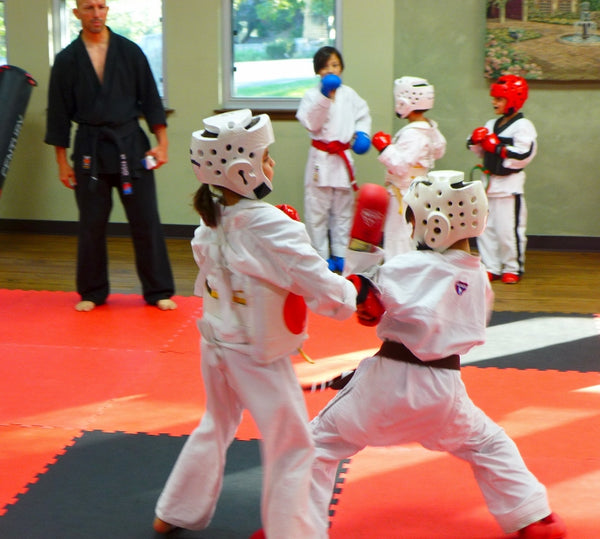 Try a Free Taekwondo Class for 6 to Adult  beginners